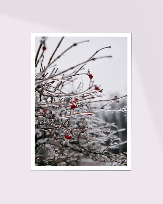 Lidiia Svarychevska • Winter Promises • small print IV