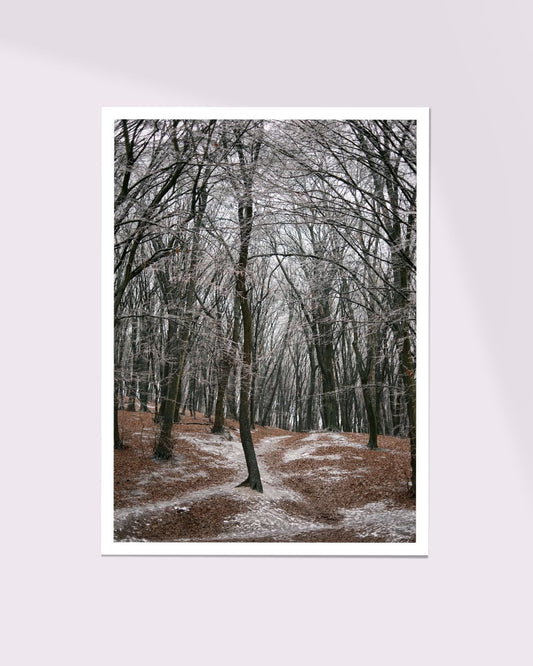 Lidiia Svarychevska • Winter Promises • small print II